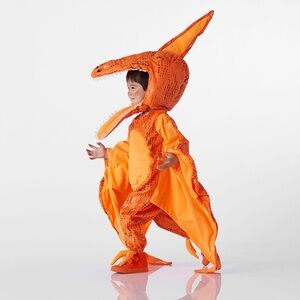 Pottery Barn Kids Light-Up Pterodactyl Halloween Costume